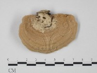 登錄號:F0013243藏品圖，第1張