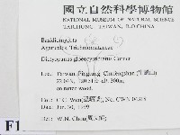 登錄號:F0013244藏品圖，第2張