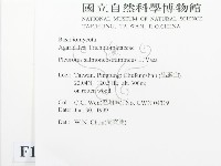 登錄號:F0013245藏品圖，第2張