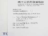 登錄號:F0013246藏品圖，第2張