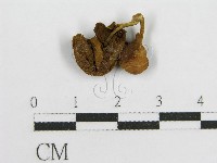 登錄號:F0013246藏品圖，第3張