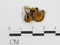 登錄號:F0013246藏品圖，第4張