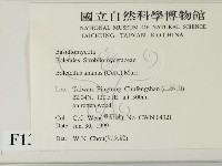 登錄號:F0013247藏品圖，第2張