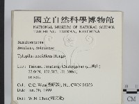 登錄號:F0013249藏品圖，第2張