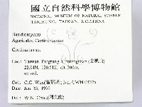登錄號:F0013251藏品圖，第2張