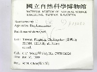 登錄號:F0013252藏品圖，第2張