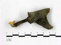 登錄號:F0013252藏品圖，第1張