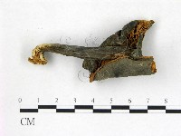 登錄號:F0013252藏品圖，第3張