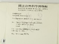 登錄號:F0013253藏品圖，第2張