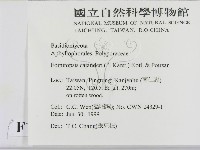 登錄號:F0013256藏品圖，第2張