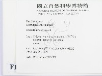 登錄號:F0013257藏品圖，第2張