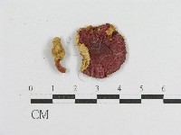 登錄號:F0013257藏品圖，第1張
