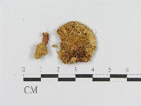 登錄號:F0013257藏品圖，第3張