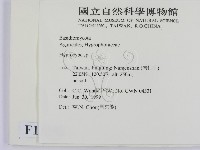 濕傘屬藏品圖，第2張