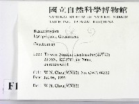 地星屬藏品圖，第2張