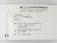 小菇屬藏品圖，第2張