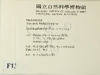 登錄號:F0013261藏品圖，第2張