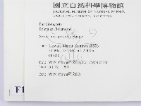 登錄號:F0013262藏品圖，第2張