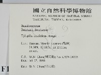 登錄號:F0013263藏品圖，第2張