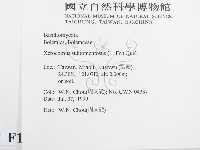 登錄號:F0013264藏品圖，第2張