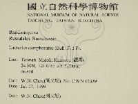登錄號:F0013266藏品圖，第2張