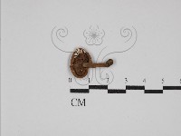 登錄號:F0013266藏品圖，第3張