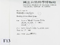 登錄號:F0013267藏品圖，第2張