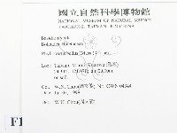 登錄號:F0013271藏品圖，第2張