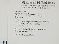 登錄號:F0013274藏品圖，第2張