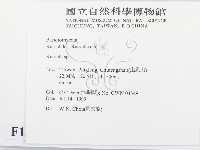 紅菇屬藏品圖，第2張