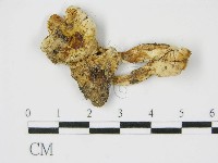 登錄號:F0013277藏品圖，第3張