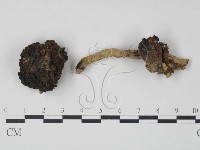 登錄號:F0013278藏品圖，第1張