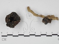 登錄號:F0013278藏品圖，第3張