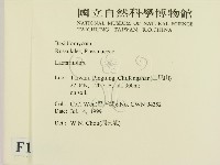 乳菇屬藏品圖，第2張