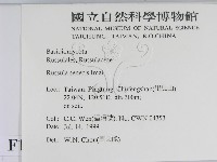 登錄號:F0013280藏品圖，第2張
