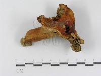 登錄號:F0013280藏品圖，第5張
