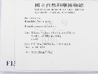 登錄號:F0013281藏品圖，第2張