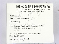 登錄號:F0013282藏品圖，第2張