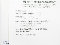鬼傘屬藏品圖，第2張
