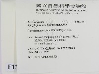 登錄號:F0013285藏品圖，第2張