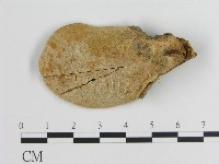 登錄號:F0013285藏品圖，第3張