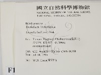 登錄號:F0013287藏品圖，第2張