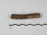 登錄號:F0013287藏品圖，第1張
