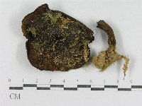登錄號:F0013289藏品圖，第3張