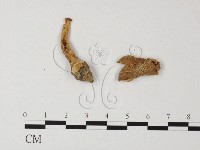 登錄號:F0013292藏品圖，第1張