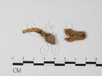 登錄號:F0013292藏品圖，第4張