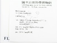 登錄號:F0013293藏品圖，第2張