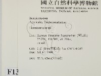 登錄號:F0013294藏品圖，第2張
