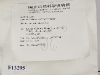 登錄號:F0013295藏品圖，第2張