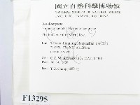 登錄號:F0013295藏品圖，第3張